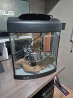 40 liter bakje compleet, Ophalen, Zo goed als nieuw, Leeg aquarium