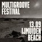 2x Multigroove festival link in de beschrijving, Tickets en Kaartjes, Evenementen en Festivals, Twee personen