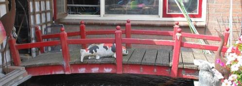 TE KOOP, Tuin en Terras, Vijver-toebehoren, Gebruikt, Overige typen, Ophalen