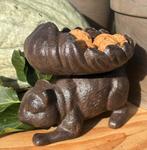 Vogelschaal, Ophalen of Verzenden, Nieuw