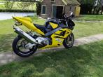 fireblade 954rr, Motoren, Super Sport, Particulier, Meer dan 35 kW, 954 cc