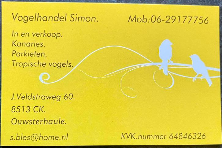 Te koop gevraagd div soorten vogels ., Dieren en Toebehoren, Vogels | Overige Vogels, Meerdere dieren