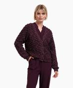 Studio anneloes chunky vest nieuw wp 159.95, Ophalen of Verzenden, Zo goed als nieuw, Maat 34 (XS) of kleiner, Paars