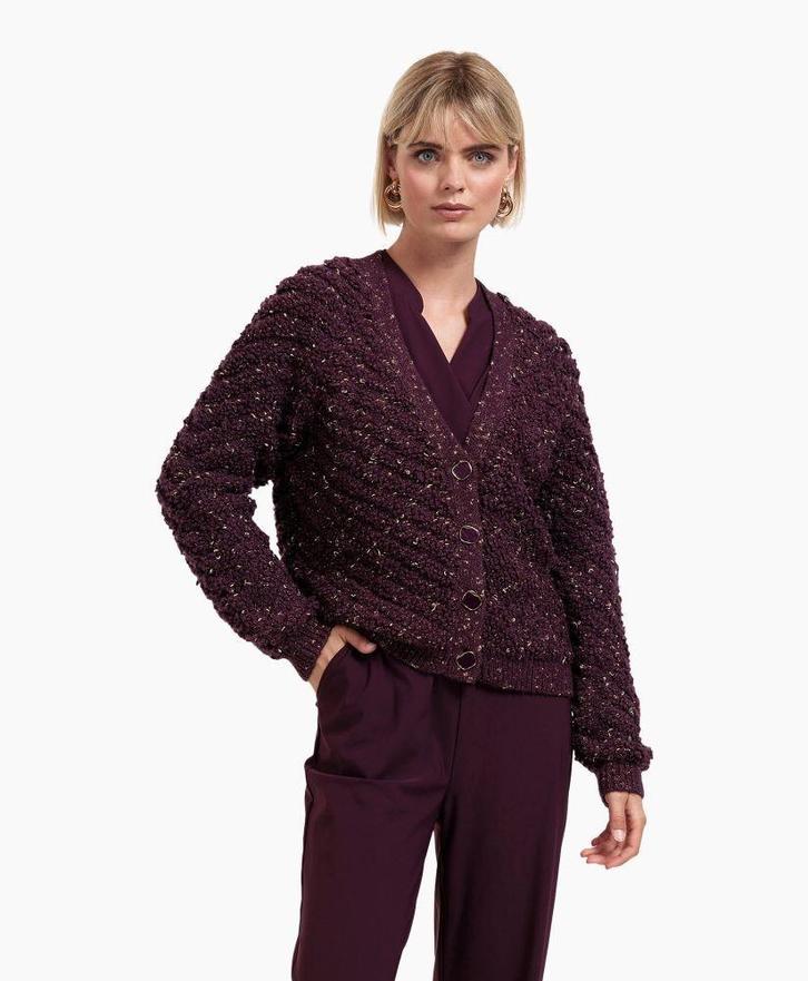 Studio anneloes chunky vest nieuw wp 159.95, Kleding | Dames, Truien en Vesten, Zo goed als nieuw, Maat 34 (XS) of kleiner, Paars