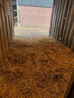 Uitloopstal met grote uitloop, Dieren en Toebehoren, 1 paard of pony