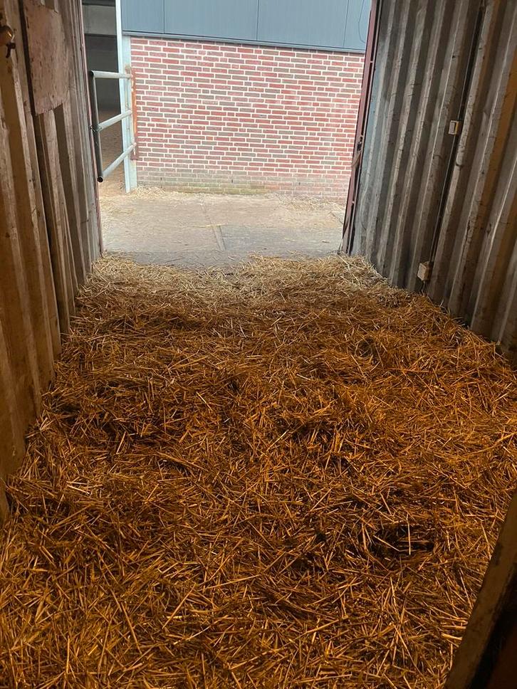 Uitloopstal met grote uitloop, Dieren en Toebehoren, Stalling en Weidegang, 1 paard of pony