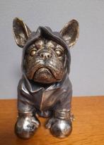 Bull dog als boxer, Ophalen of Verzenden