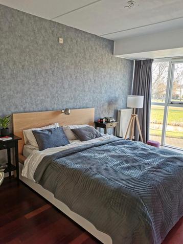 Grijze Sprei + 2 Kussens - Tweepersoons beschikbaar voor biedingen