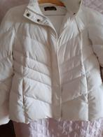 Roberto cavallie winterjas maat 42 44  zgan, Ophalen of Verzenden, Zo goed als nieuw, Maat 42/44 (L)