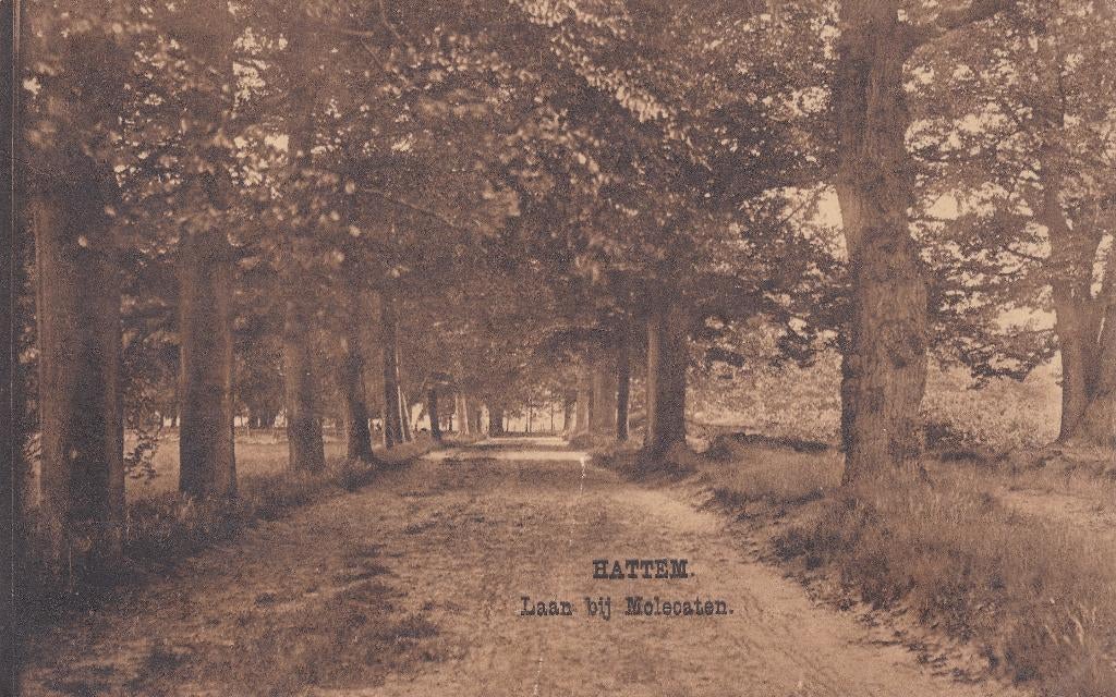 Hattem Laan bij Molecaten, Ophalen of Verzenden, 1940 tot 1960, Gelopen, Gelderland