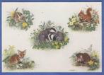 Helen Babington Young British Mammals Eekhoorn Vos Konijn, Verzamelen, Ansichtkaarten | Themakaarten, Gelopen, Verzenden, 1980 tot heden