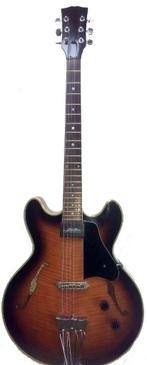 Prachtige jazz gitaar, Ophalen, Gebruikt, Semi-solid body, Overige merken
