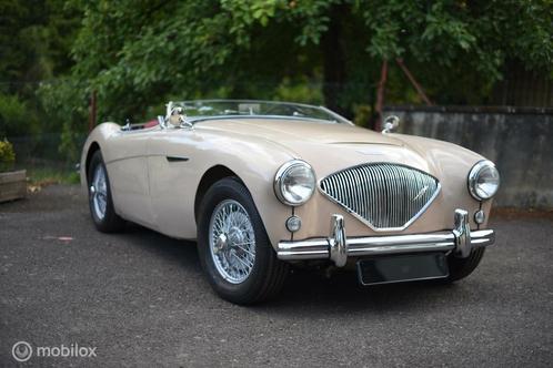 Austin-healey 100 BN1 Cabriolet 1954 | Route 66 Auctions, Auto's, Oldtimers, Bedrijf, Te koop, Open dak, Overige merken, Benzine