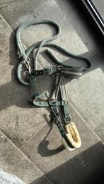 Halster pony, Dieren en Toebehoren, Paarden en Pony's | Hoofdstellen en Tuigage, Ophalen, Gebruikt, Overige soorten
