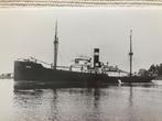 KNSM   DANAE    1923  ex Duits & ex Aardenburg, Ophalen of Verzenden