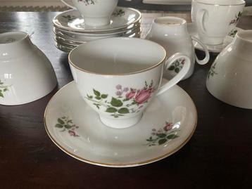 Bavaria Vohenstrauss Kop en schotels - Rozenmotief beschikbaar voor biedingen