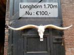 Longhorn schedel 1.70m en Longhorn 60x60, Ophalen, Gebruikt, Overige materialen, Dierenbeeld