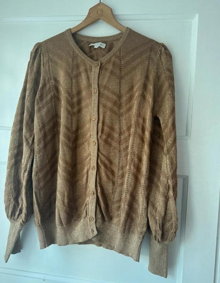 Stijlvol chique feestelijk bruin goud pofmouw vest Bel & Bo, Kleding | Dames, Truien en Vesten, Zo goed als nieuw, Maat 42/44 (L)