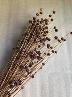 Gedroogde bloemen - lollipop - diverse kleuren, Ophalen of Verzenden, Zo goed als nieuw