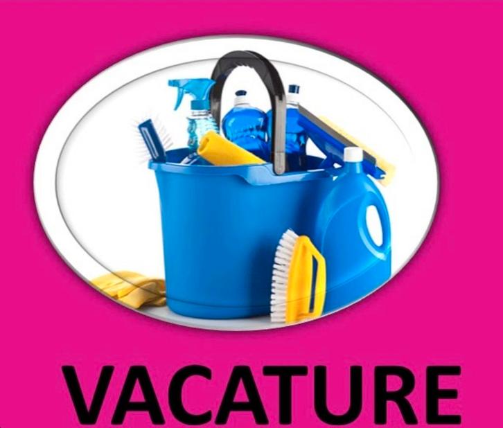 GEZOCHT Zzp-ers voor kantoorpanden Maurik en Tiel, Vacatures, Vacatures | Schoonmaak en Facilitaire diensten, Overige niveaus