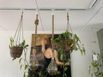Hanglamp Leonardo pearl Amber, Huis en Inrichting, Lampen | Hanglampen, Ophalen, Zo goed als nieuw, Glas, Minder dan 50 cm