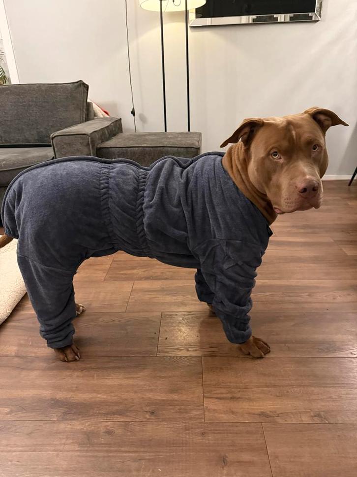 Badjas pyama voor  honden, Dieren en Toebehoren, Hondenkleding, Nieuw, Ophalen of Verzenden