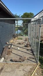 Hondenkennel/ Konijnenhok, Dieren en Toebehoren, Ophalen, 110 cm of meer, Hok, 90 cm of meer