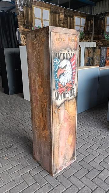 Special Paint metalen draaideurkast beschikbaar voor biedingen
