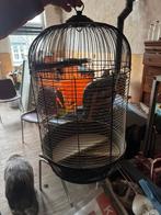 Vogelkooi, Ophalen, Zo goed als nieuw, Metaal, Vogelkooi