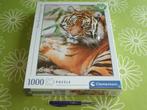 Nieuw in seal: Sumatraanse Tijger - 1000 stukjes, Ophalen of Verzenden, 500 t/m 1500 stukjes, Nieuw, Legpuzzel