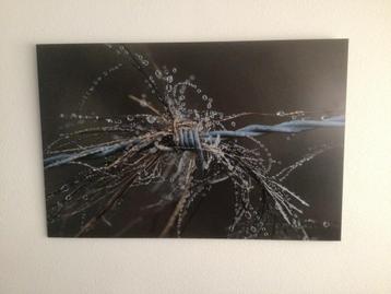 Aluminium Schilderij 130x85cm ( mag weg voor weinig !) beschikbaar voor biedingen