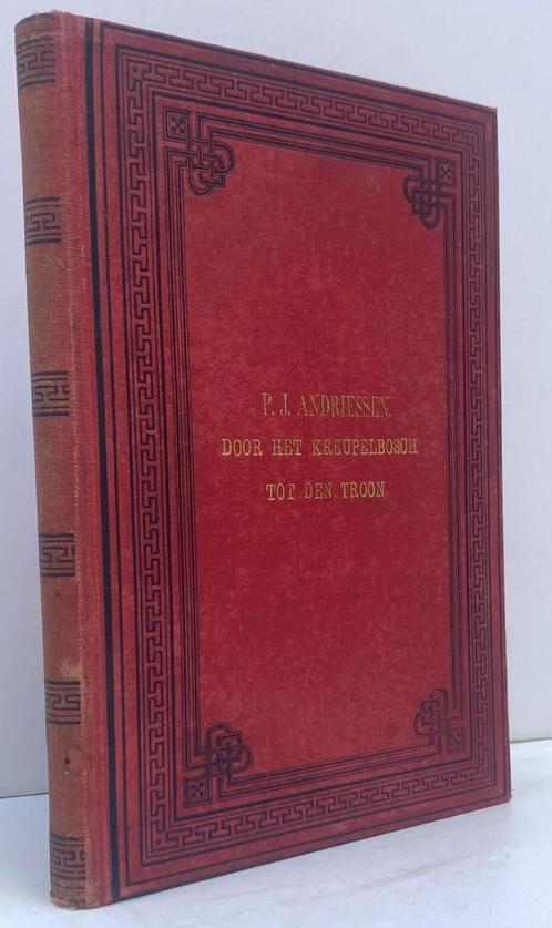 Andriessen, P.J. Door het kreupelbosch naar de troon (1889), Antiek en Kunst, Antiek | Boeken en Bijbels, Ophalen of Verzenden