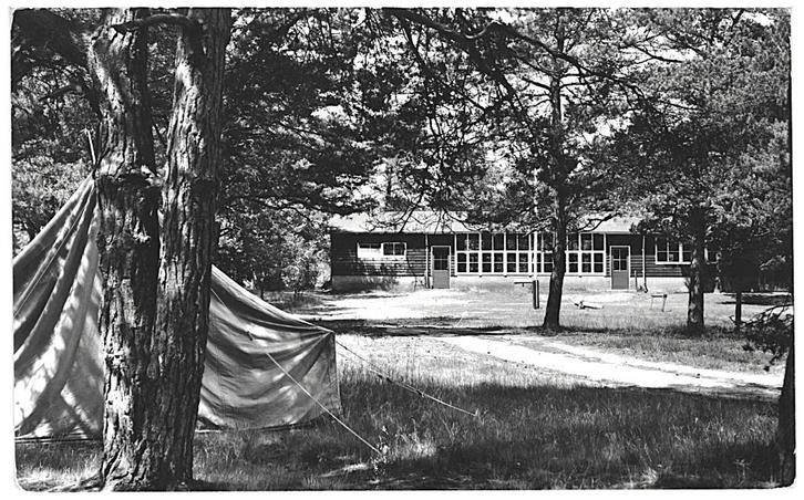 959882 Beekbergen 1957 Gld De Wildwal Postzegel afgeweekt, Verzamelen, Ansichtkaarten | Nederland, Gelopen, Gelderland, 1940 tot 1960