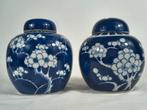 Porseleinen gemberpotten met pruimenbloesem, China, eind 19e, Ophalen of Verzenden