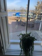 NIEUW! Woonruimte te huur Vismarkt, Nijmegen