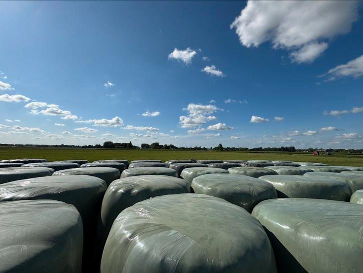 Gewikkelde hooibalen, Dieren en Toebehoren, Dierenvoeding, Ophalen