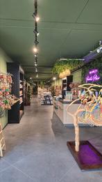 GROOTSE PAPEGAAIEN SPECIAALZAAK VAN BRABANT, Meerdere dieren, Papegaai