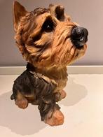 Yorkshire Terrier Beeld met groot hoofd., Ophalen of Verzenden, Zo goed als nieuw, Dier