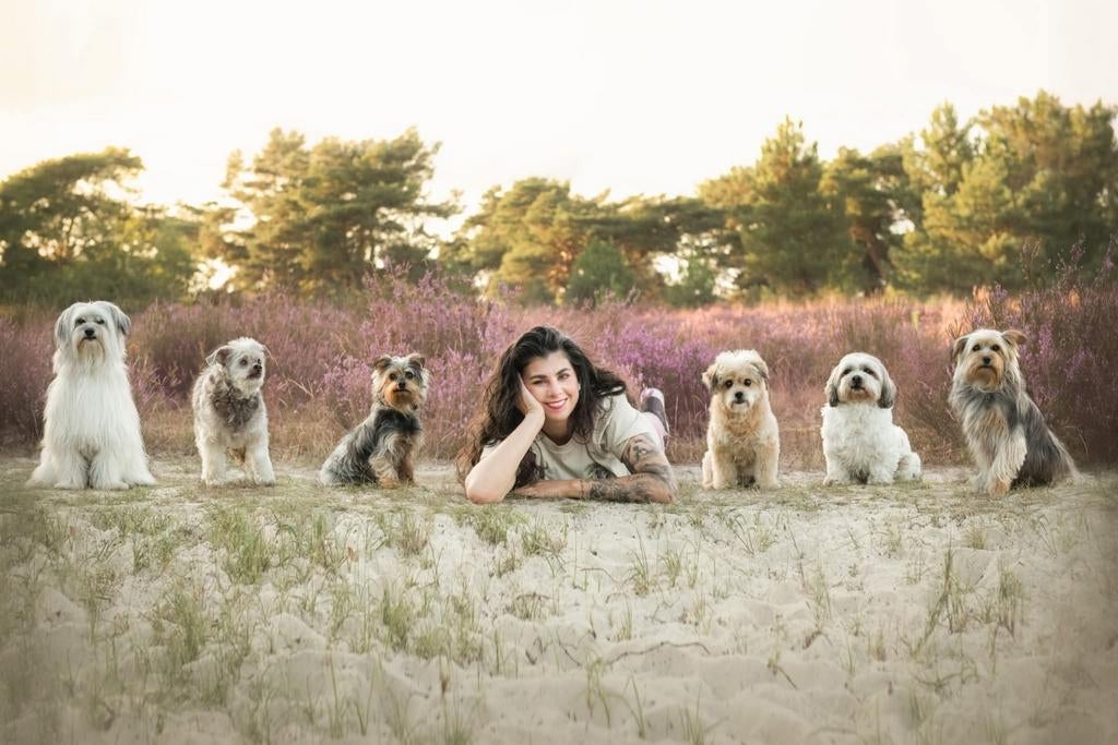 Opvang in huiselijke sfeer, uitlaten, zorg etc. Fijnaart e.o, Diensten en Vakmensen, Dieren | Honden | Verzorging, Oppas en Les