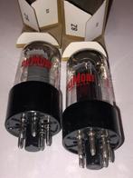 Dumont 6V6 GTA buizen paar - Nieuw en getest, Ophalen of Verzenden, Nieuw, Overige typen