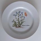 Bord Kronester Bavaria Nr. :32 Myosotis Sylvatica, Antiek en Kunst, Ophalen of Verzenden