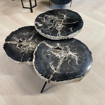 Versteend Hout Salontafels - Munker interiors beschikbaar voor biedingen