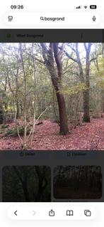 Bosgrond gezocht rondom heeswijk dinther, Ophalen