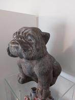 Buldog, Ophalen, Gebruikt, Dier
