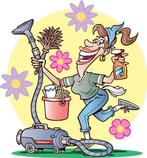 Huishoudelijk hulp aangeboden! Opruimcoach/Schoonmaak., Diensten en Vakmensen, Huishoudelijke hulp, Wassen
