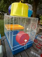 2 hamsterkooien van ferplast met veel toebehoren, Kooi, Gebruikt, Minder dan 75 cm, Hamster