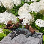 5 VOGELS OP TAK / bronzen beeld / nieuw, Dierenbeeld, Nieuw, Info@huisentuindecoratiemarie.nl, Huis en tuin decoratie marie