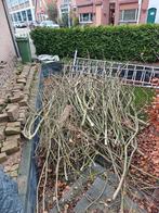 Aanmaakhout, Tuin en Terras, Haardhout, 3 tot 6 m³, Ophalen, Essenhout, Takken