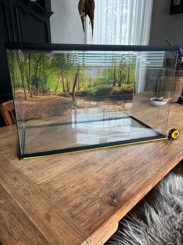 Hamsterkooi terrarium incl inrichting voor hamsterscaping beschikbaar voor biedingen