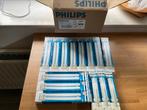 Philips PL lampen, Ophalen of Verzenden, Nieuw
